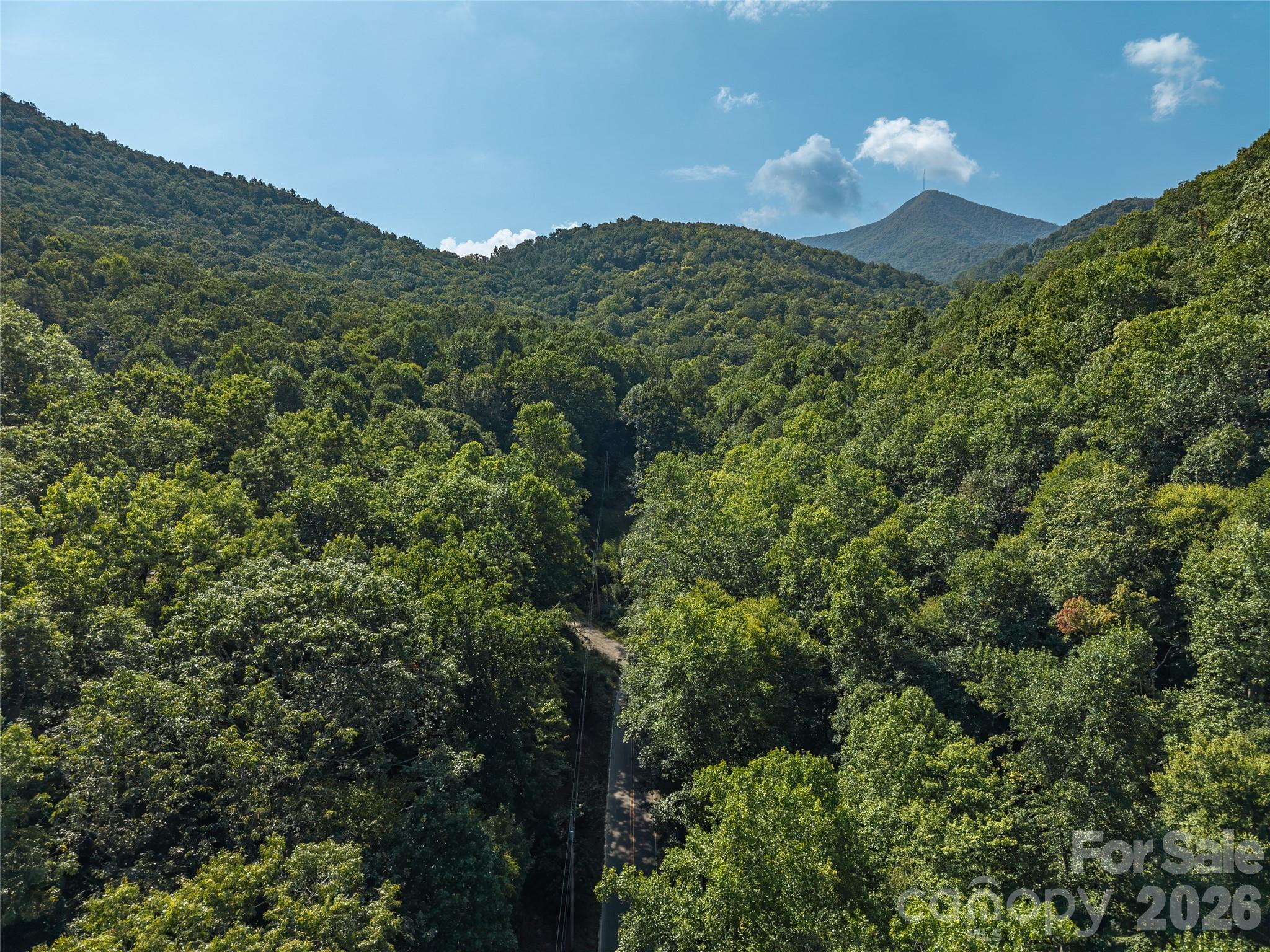 Acreage at 99999 Saw Branch Road, Candler, photo 25 of 37