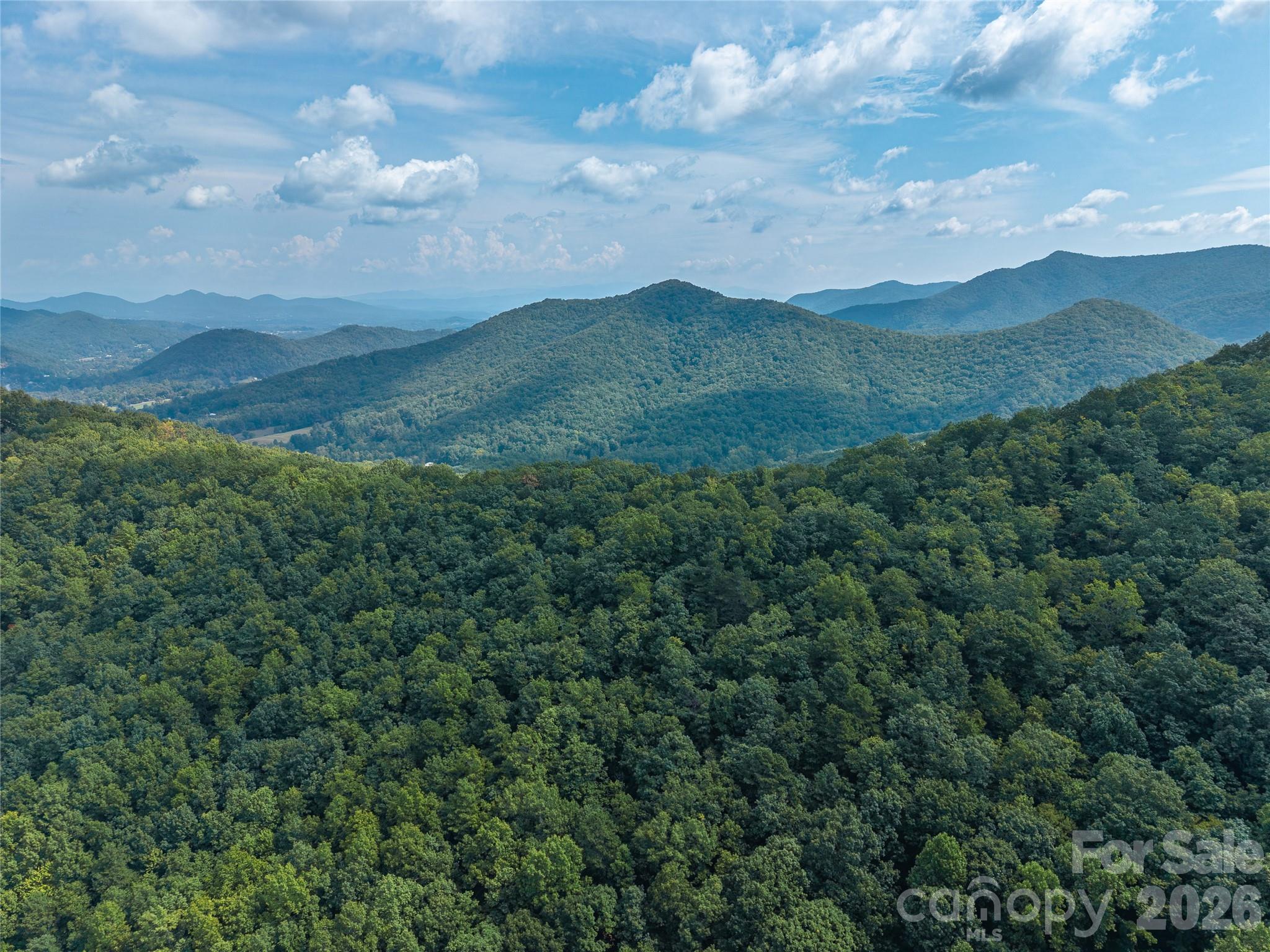 Acreage at 99999 Saw Branch Road, Candler, photo 27 of 37