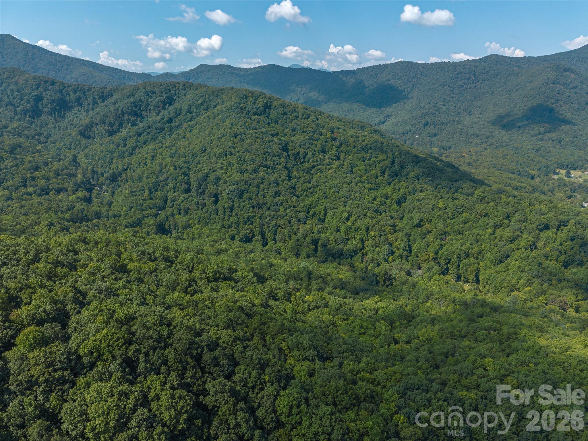 Acreage at 99999 Saw Branch Road, Candler, photo 29 of 37