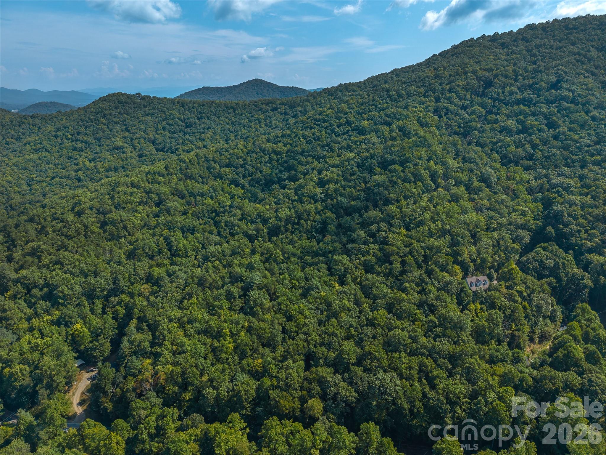 Acreage at 99999 Saw Branch Road, Candler, photo 30 of 37