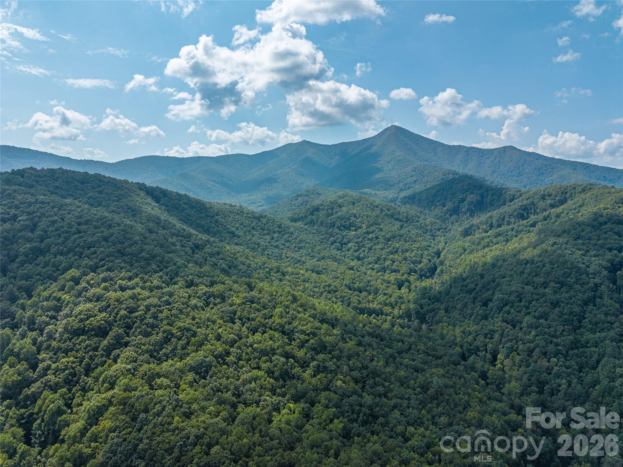 Acreage at 99999 Saw Branch Road, Candler, photo 31 of 37