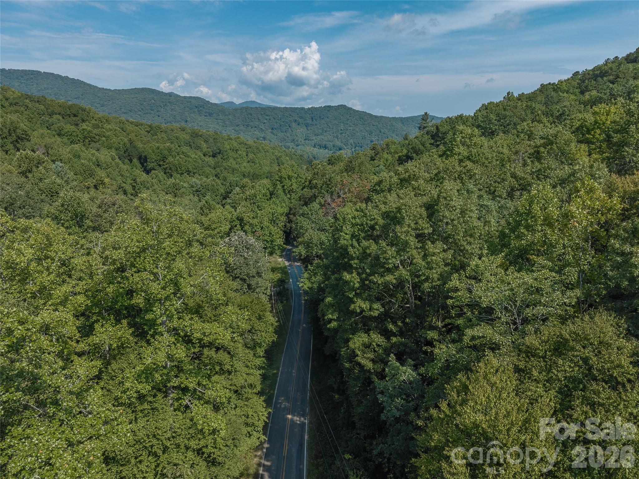 Acreage at 99999 Saw Branch Road, Candler, photo 32 of 37