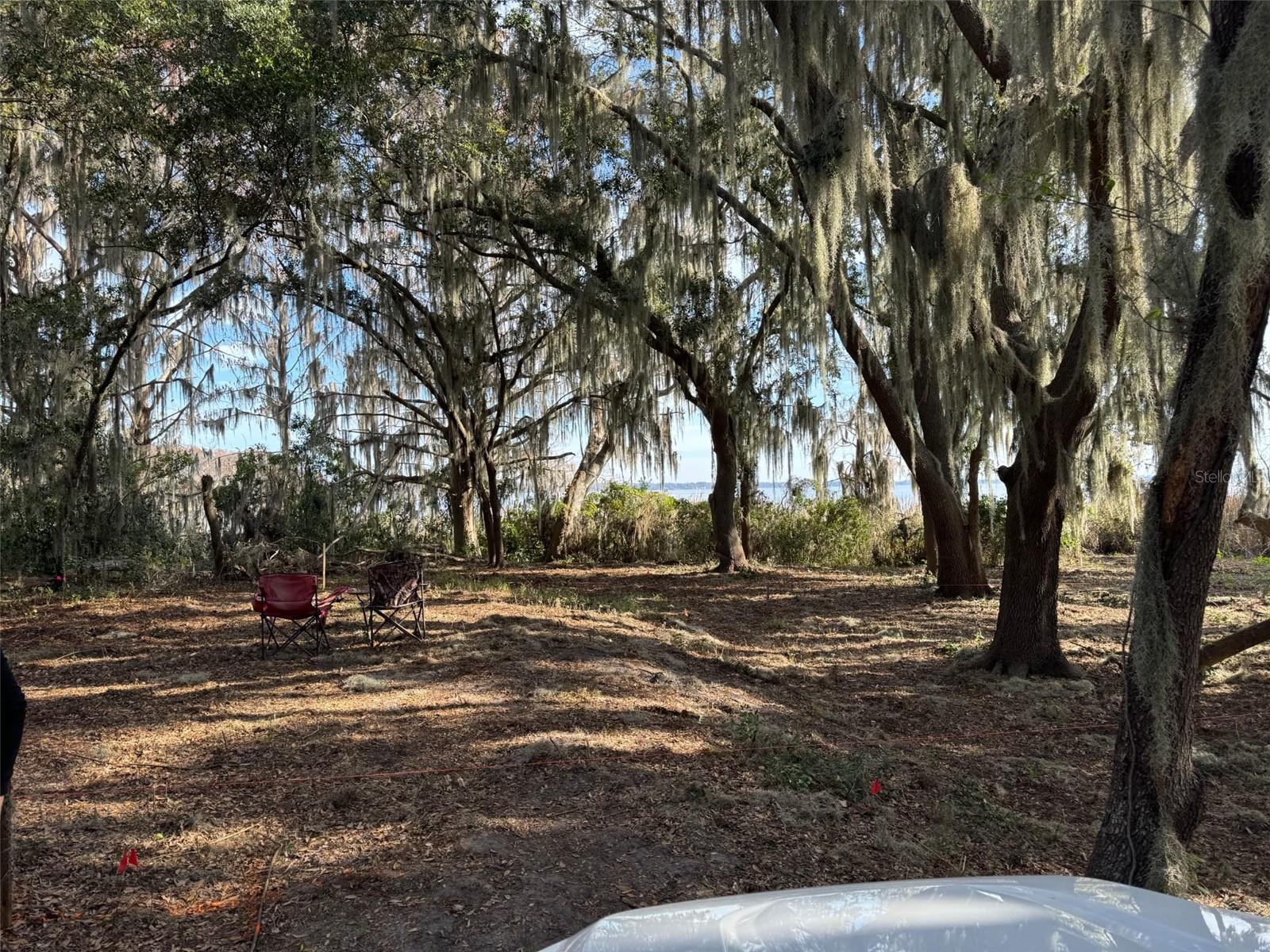 OCKLAWAHA DR