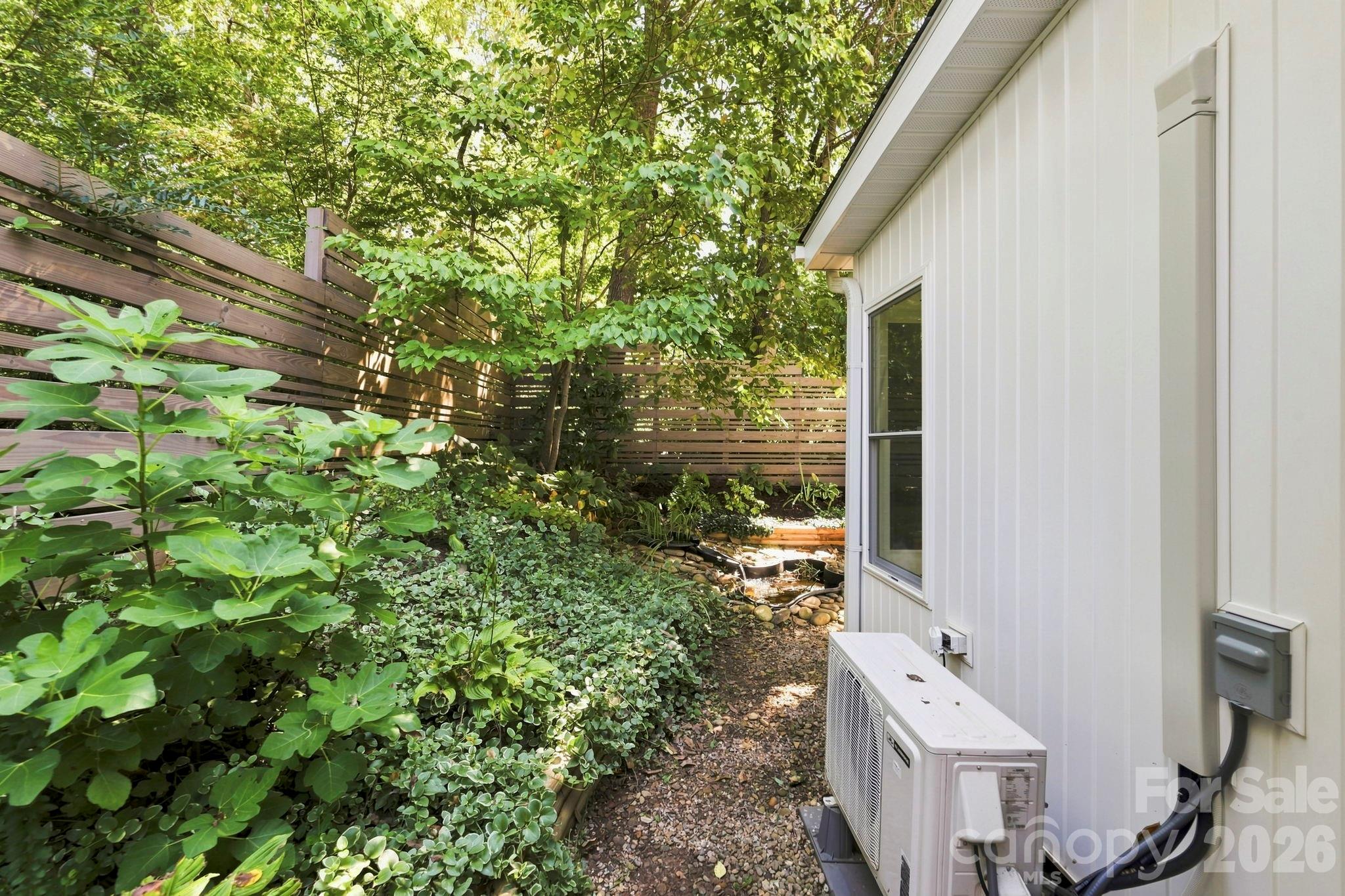 Back Yard with mature landscaping and beautiful fig tree - 8A Bent Grass Court, Black Mountain