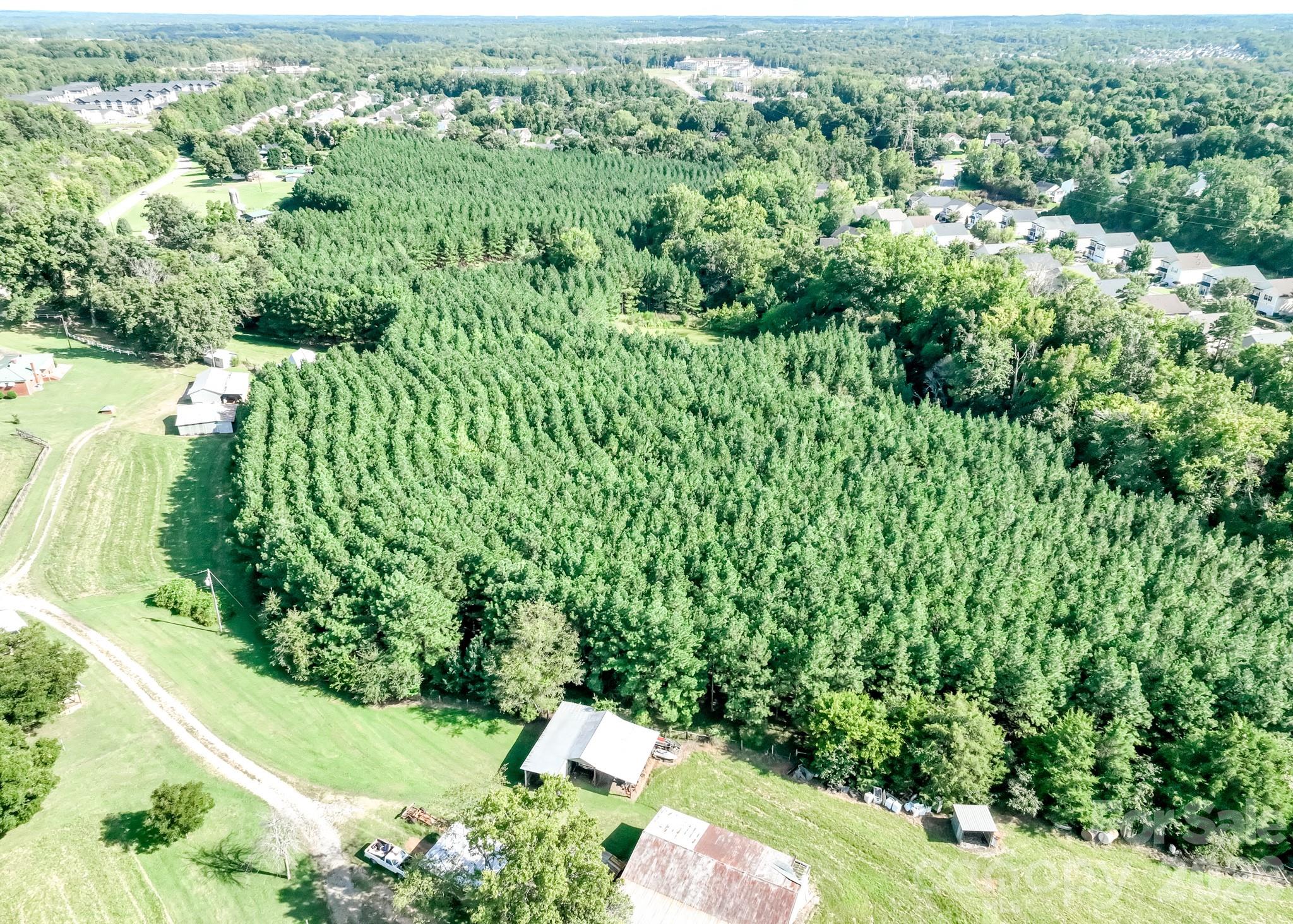 Acreage at 3322 Morehead Road, Charlotte, photo 9 of 41