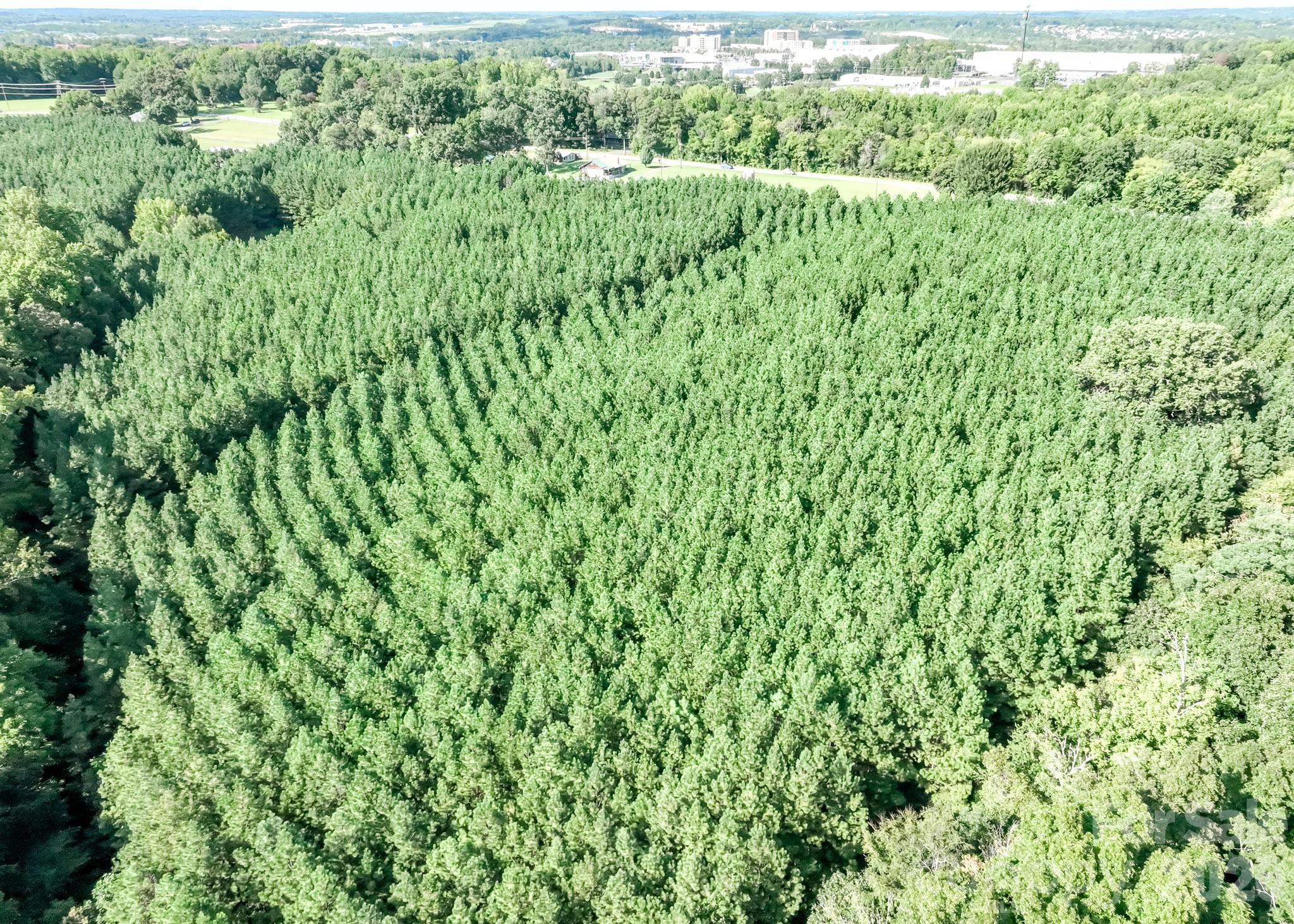 Acreage at 3322 Morehead Road, Charlotte, photo 23 of 41