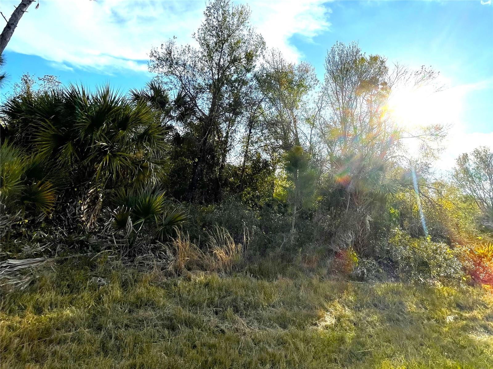 WAITING FOR YOU TO BUILD YOUR NEXT HOME - MARLBERRY RD, NORTH PORT