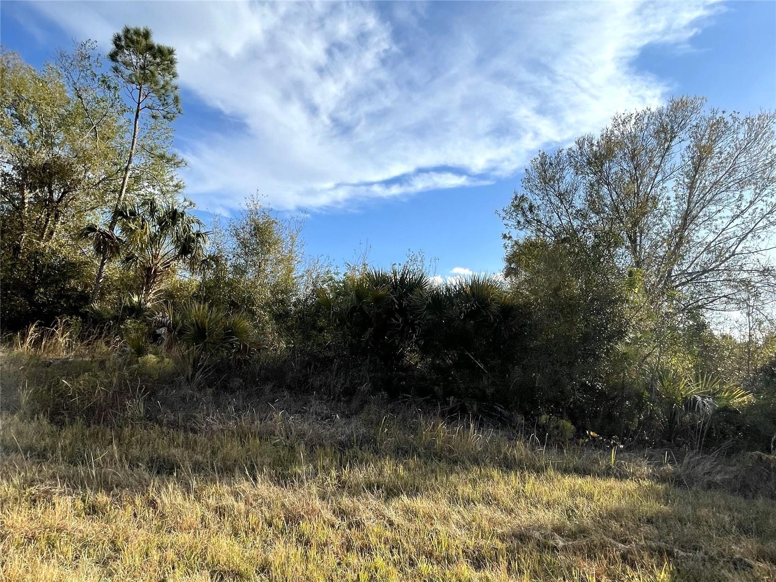 GREAT PARCEL - MARLBERRY RD, NORTH PORT