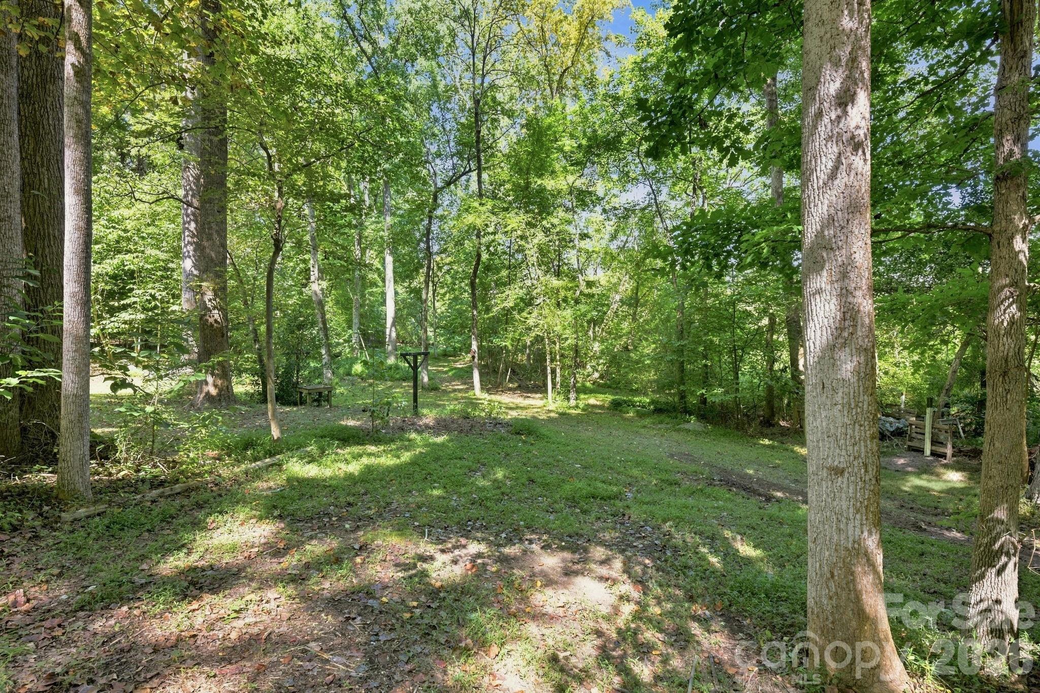 Mature Hardwoods Over 2.8+ Acres - 19317 Davidson Concord Road, Davidson