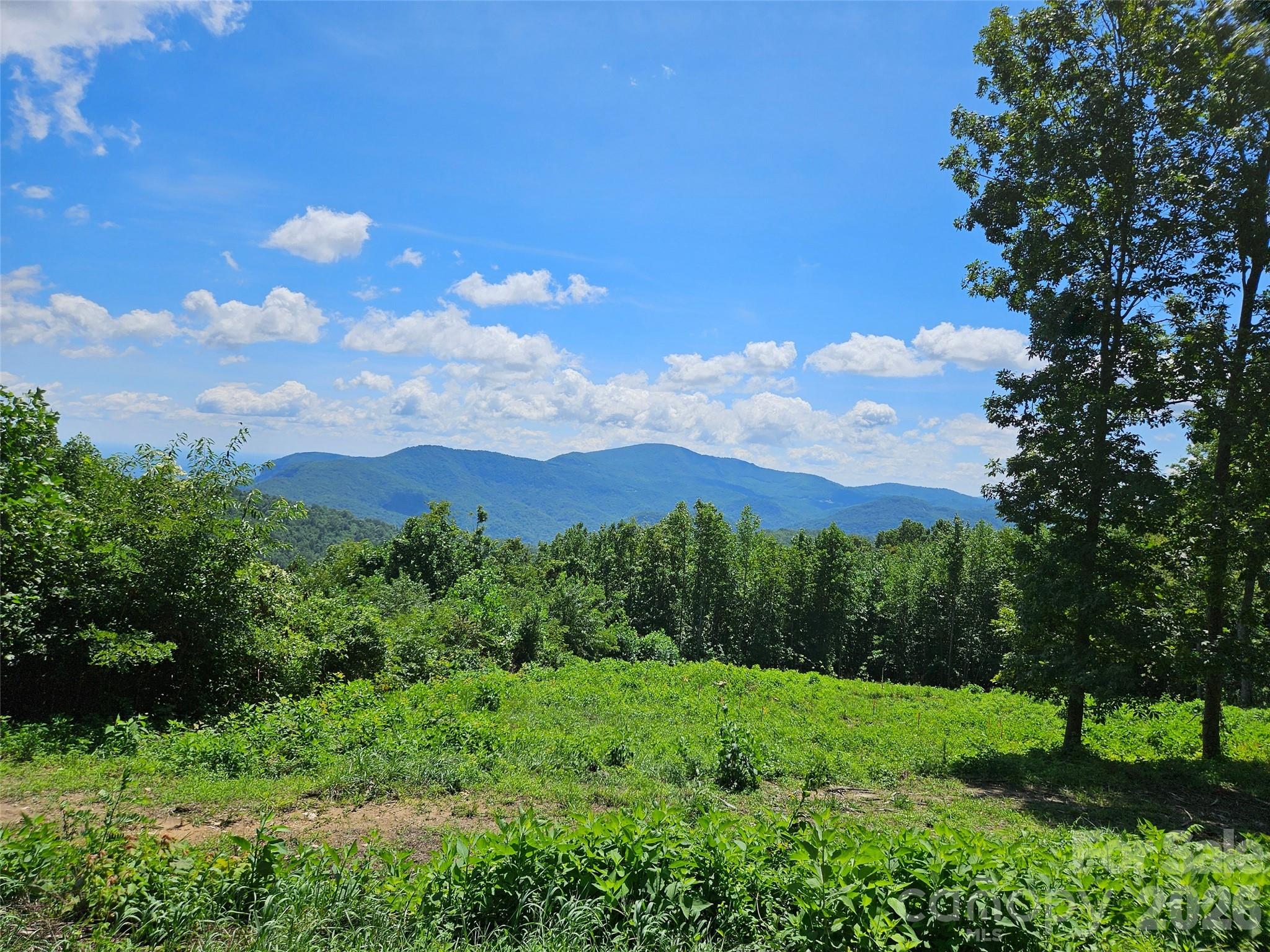 Lot at 1227 Grand Oaks Drive, Hendersonville, photo 2 of 13