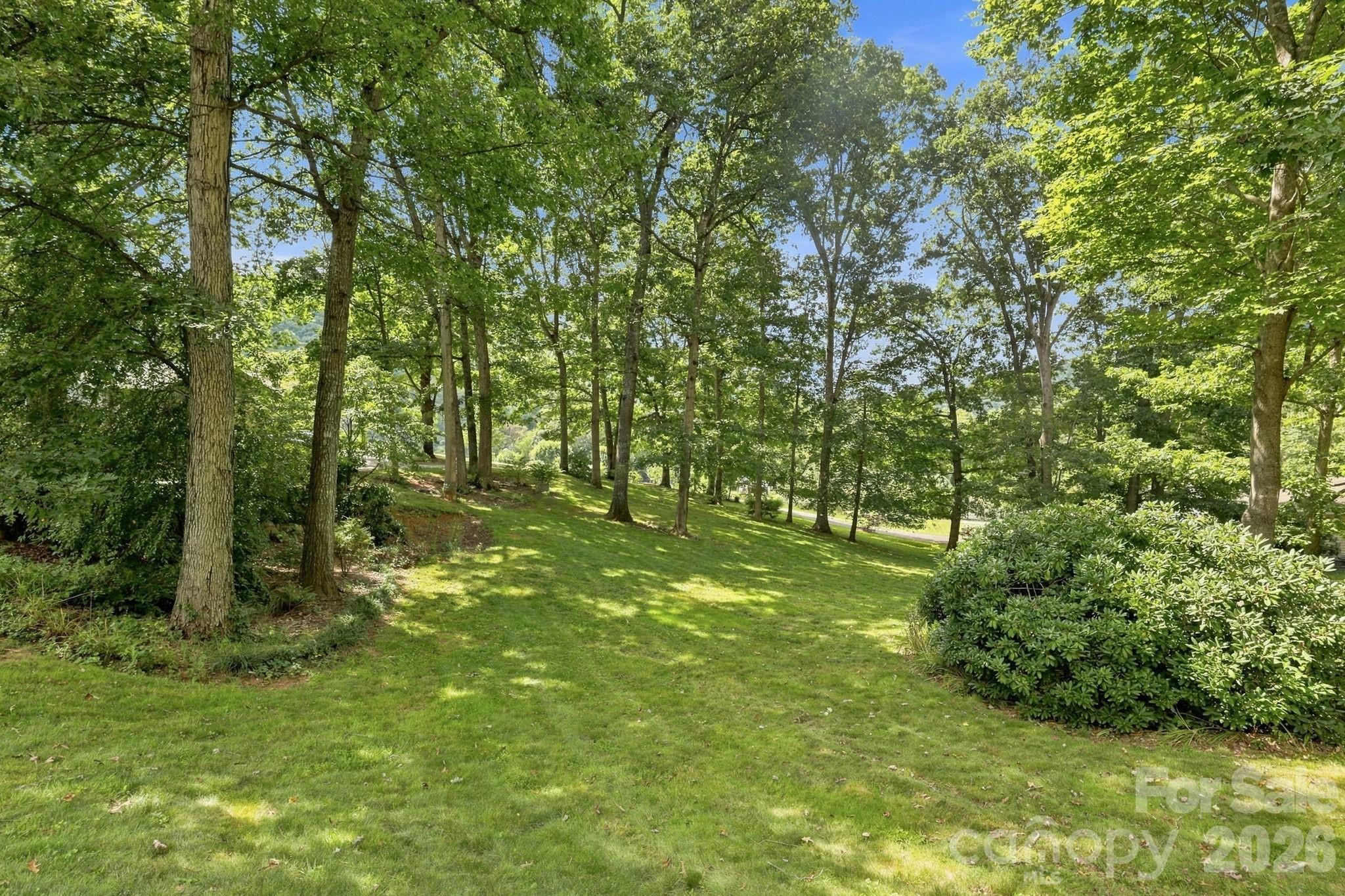 Front yard. - 95 Holly Ridge Road, Waynesville
