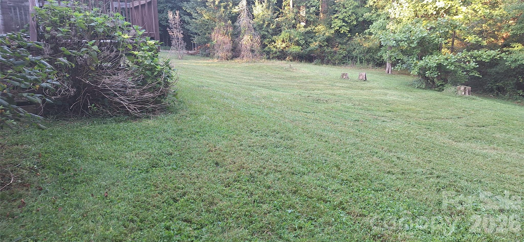 Front Yard - 120 Otto Road, Cherryville