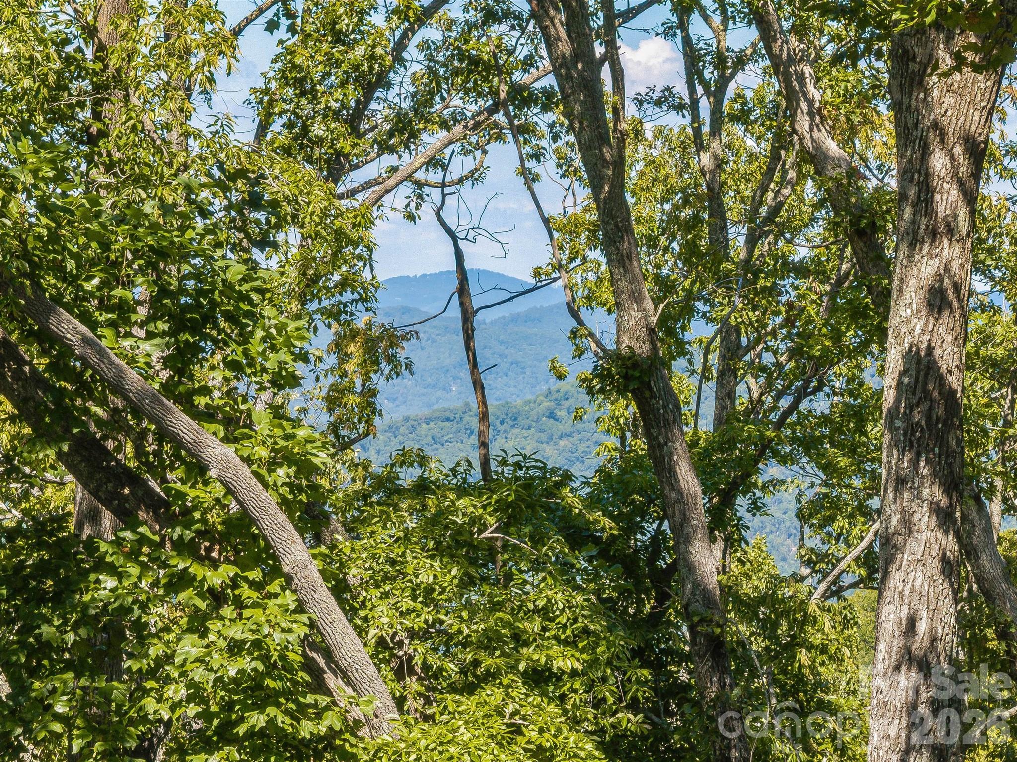 Lot at Lot 42 Haven View Trail, Fletcher, photo 7 of 14