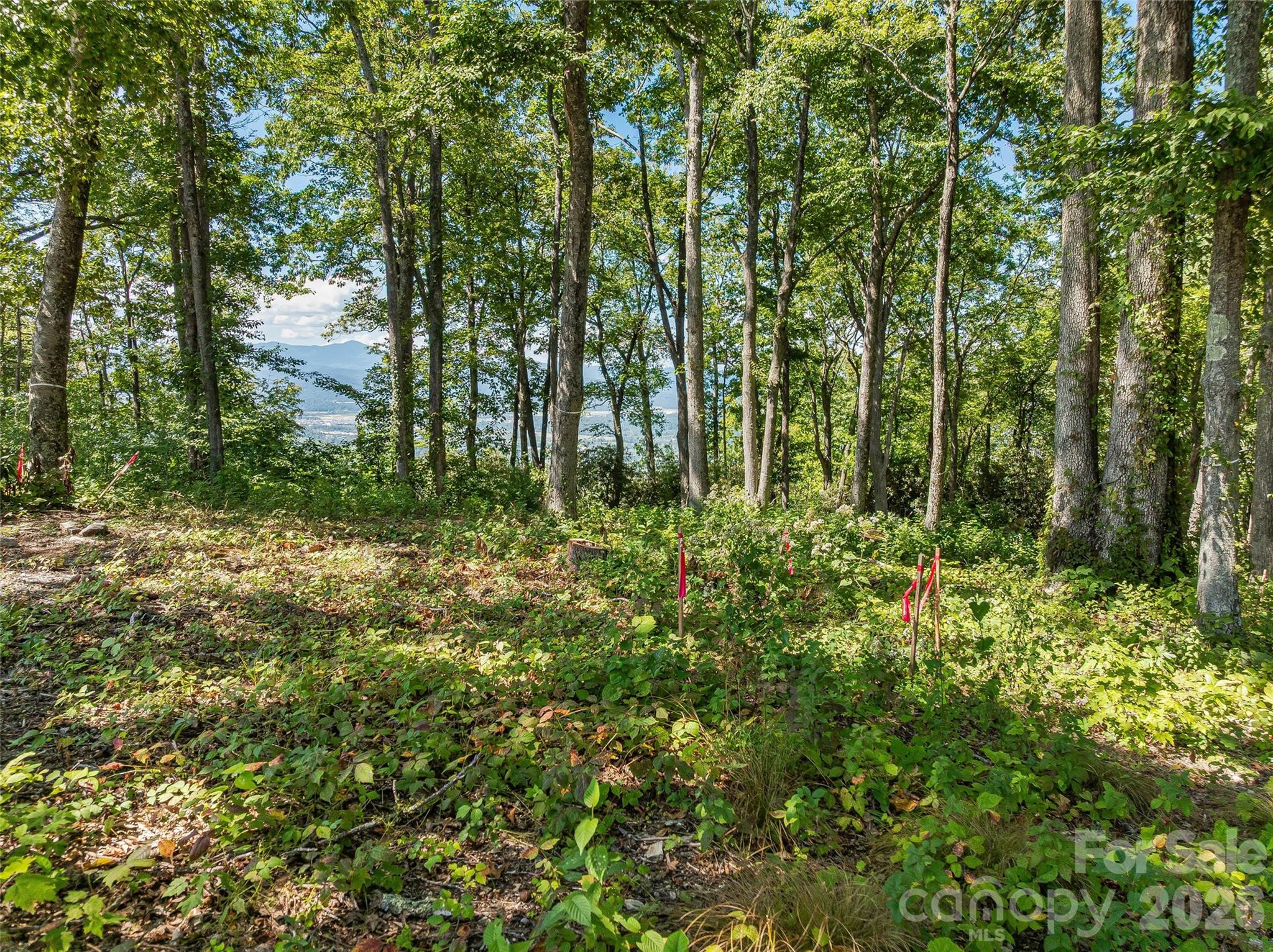 Lot at Lot 42 Haven View Trail, Fletcher, photo 10 of 14