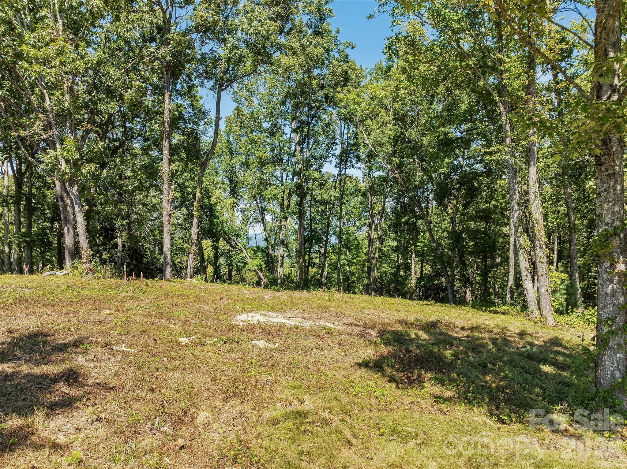 Lot at Lot 42 Haven View Trail, Fletcher, photo 12 of 14