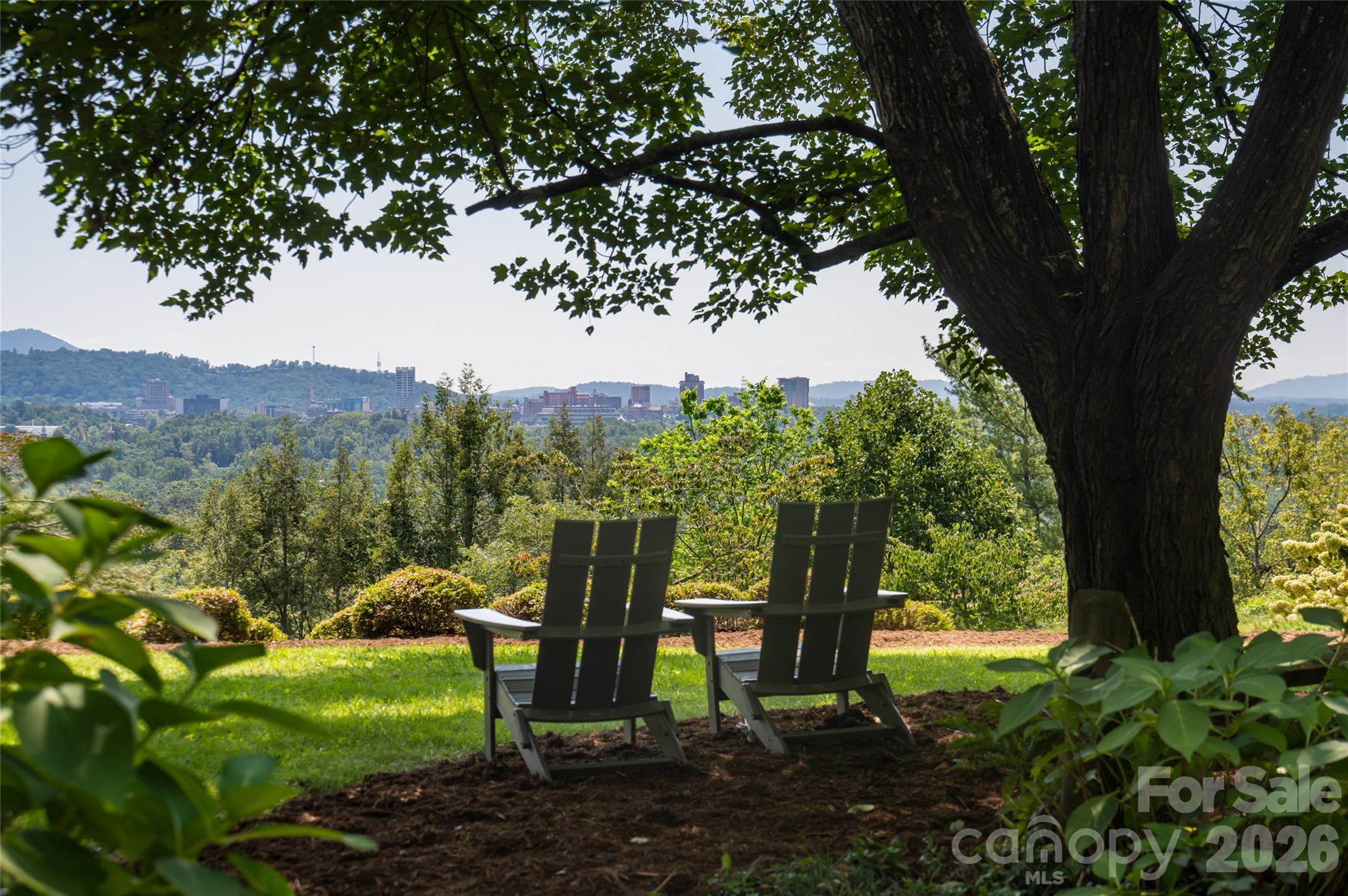 unobstructed views of downtown Asheville from the home and stunning yard - 35 Elias Place, Asheville