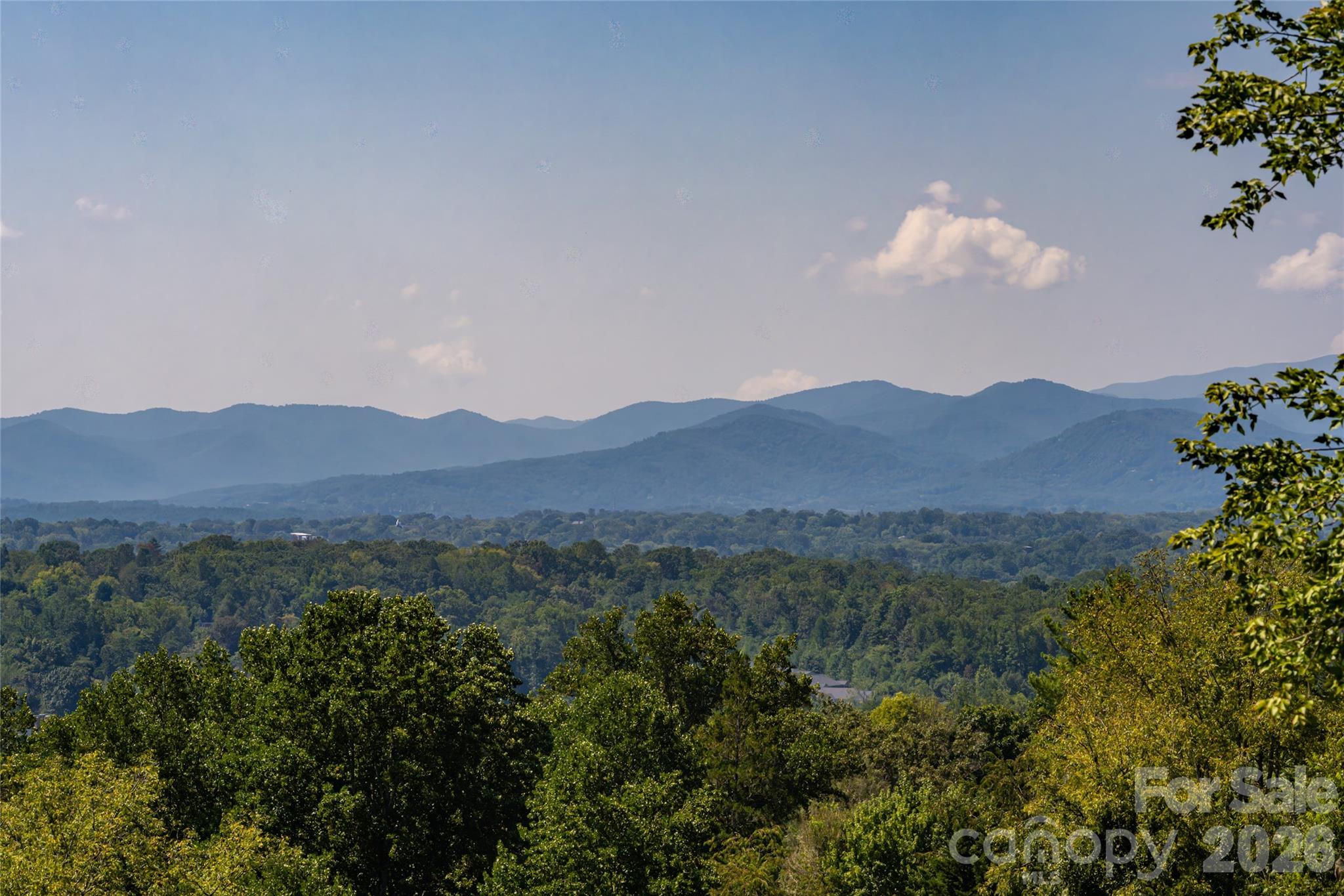 Sweeping views of the Blue Ridge Mountains - 35 Elias Place, Asheville