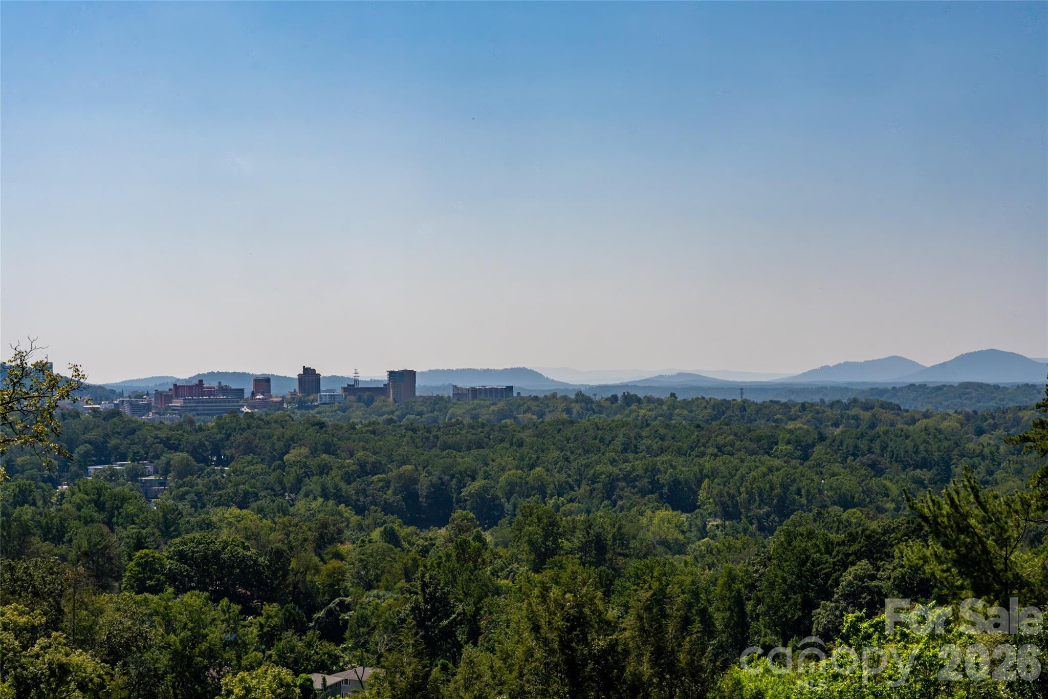 Single Family Residence at 35 Elias Place, Asheville, photo 42 of 48