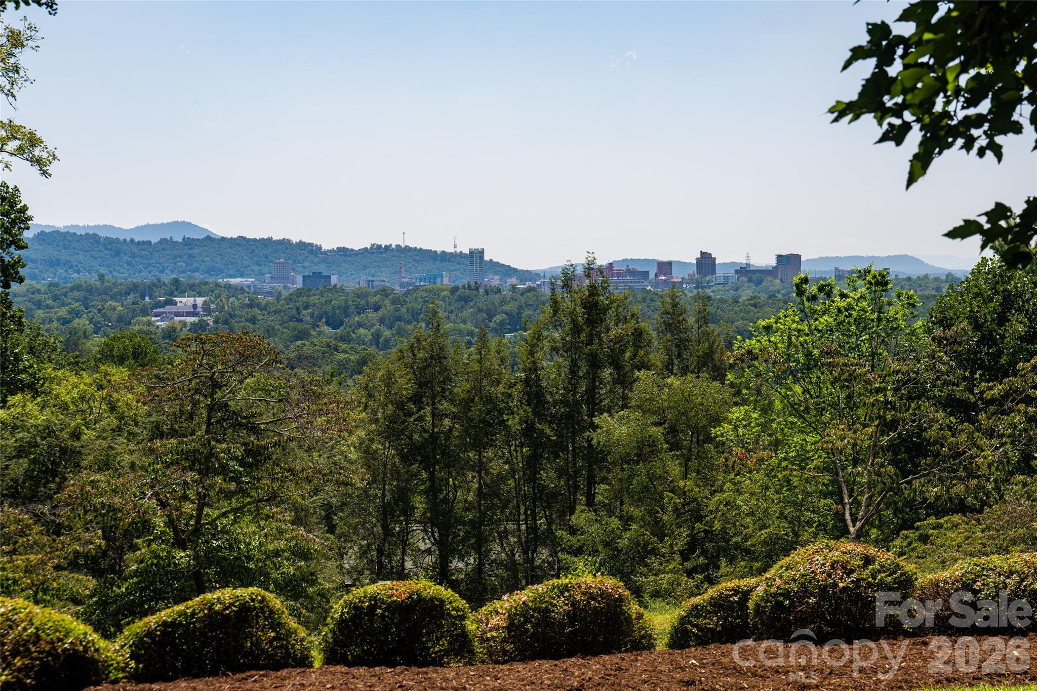 Views standing in the side yard - 35 Elias Place, Asheville
