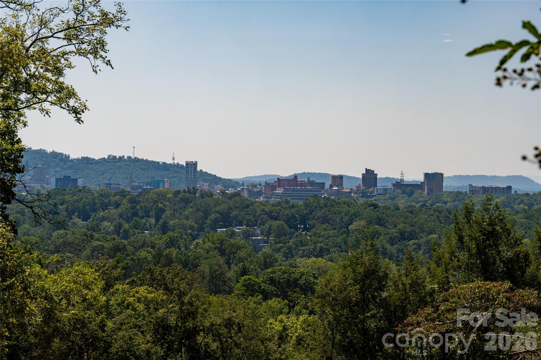 Single Family Residence at 35 Elias Place, Asheville, photo 46 of 48