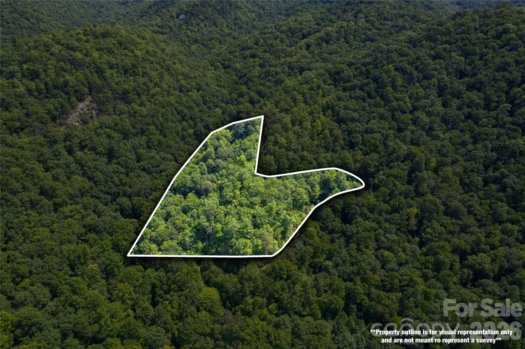 Acreage at OFF Little East Fork Road, Canton, photo 8 of 18