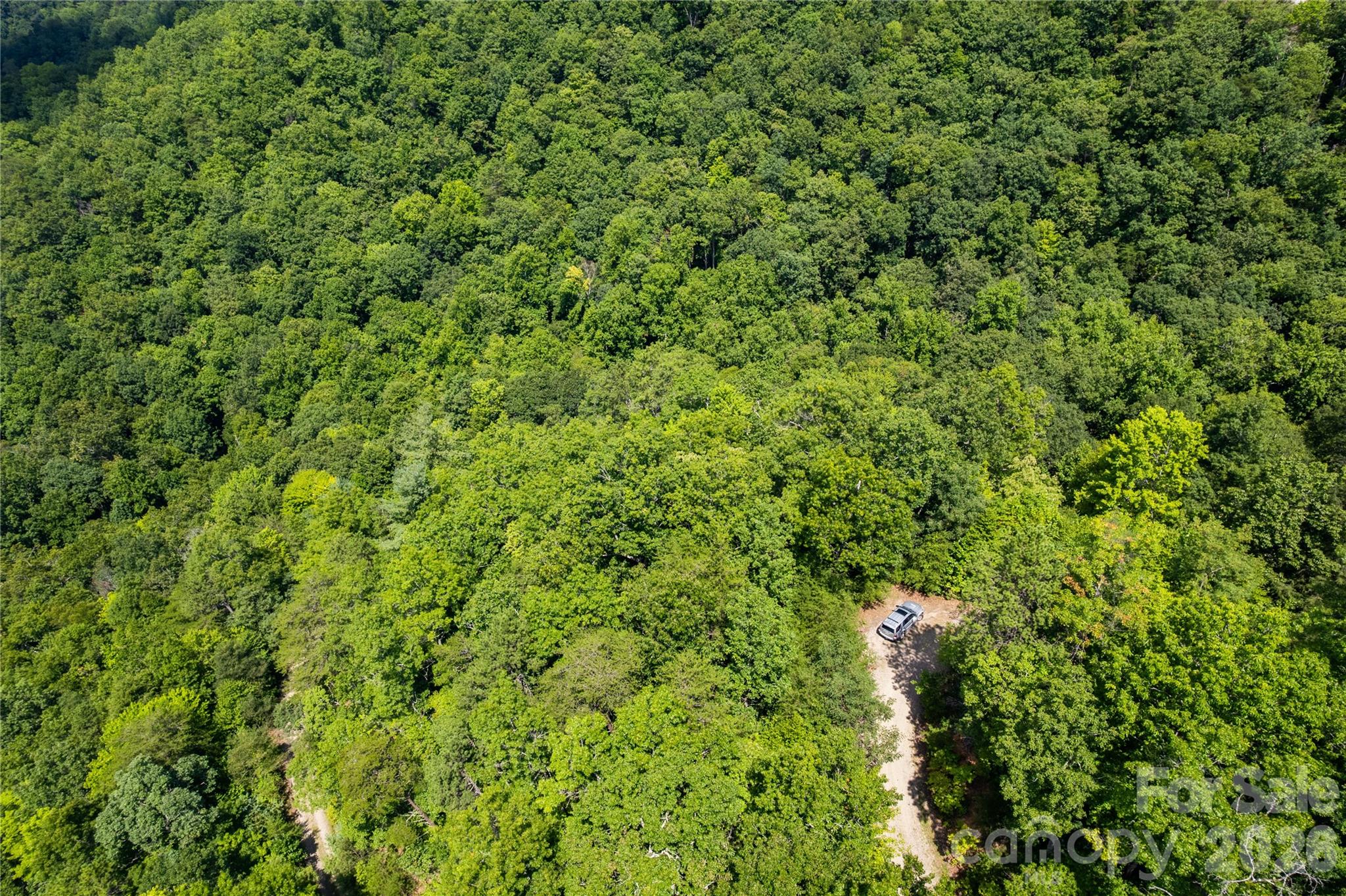 Acreage at OFF Little East Fork Road, Canton, photo 9 of 18