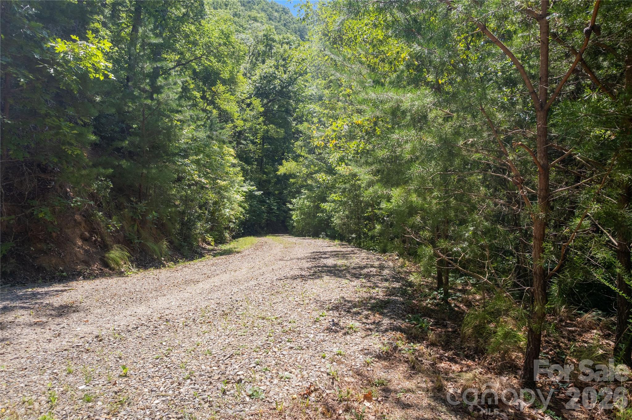 Acreage at OFF Little East Fork Road, Canton, photo 10 of 18