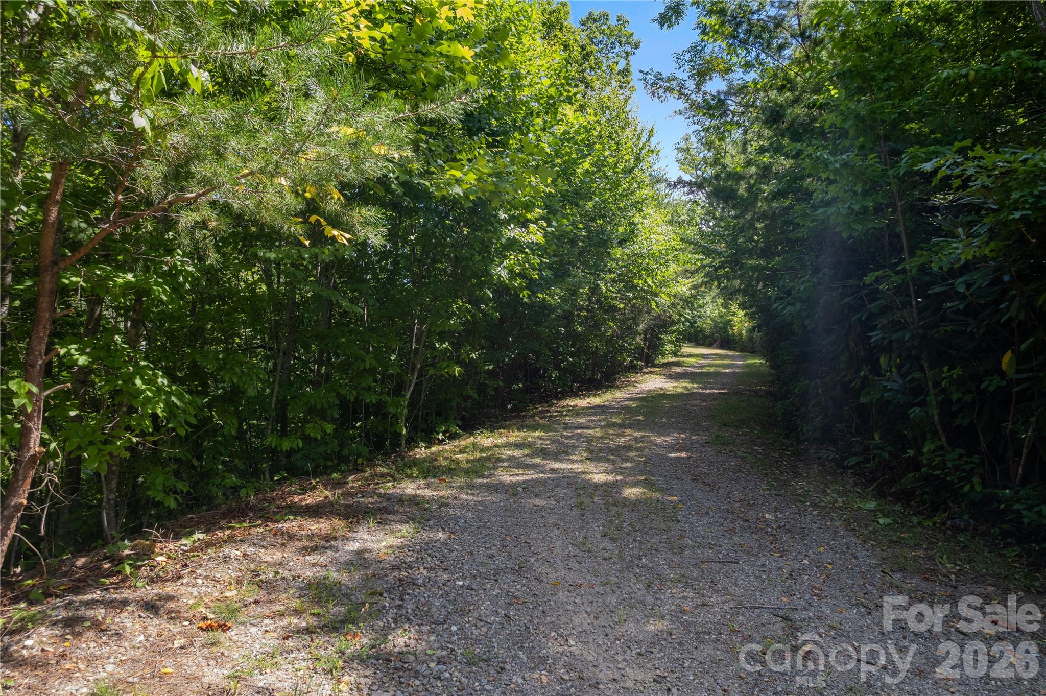 Acreage at OFF Little East Fork Road, Canton, photo 11 of 18