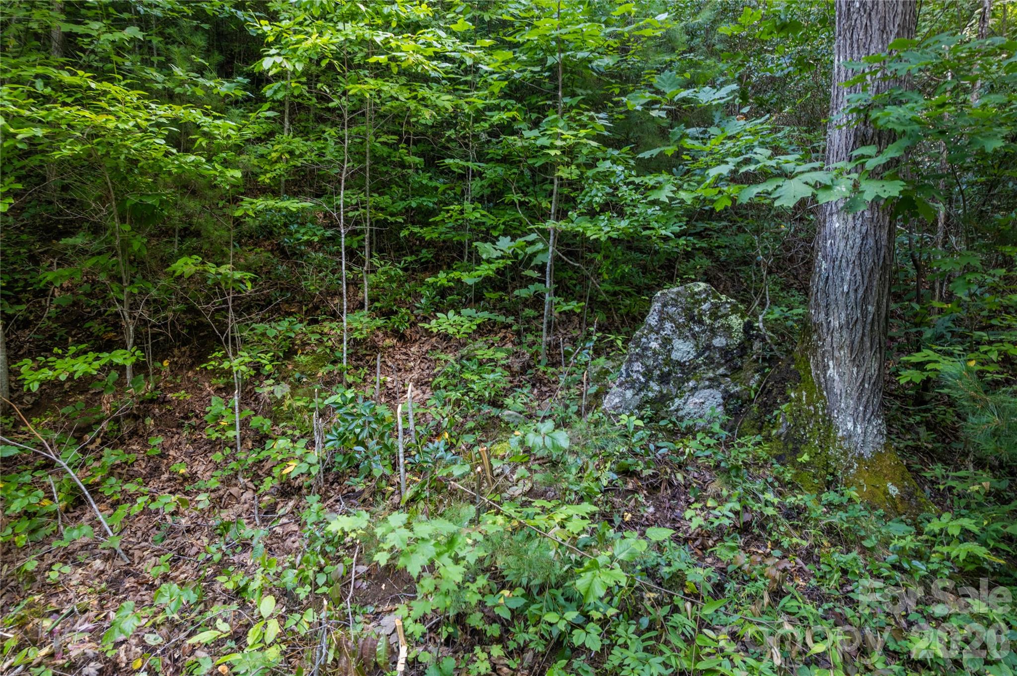 Acreage at OFF Little East Fork Road, Canton, photo 12 of 18