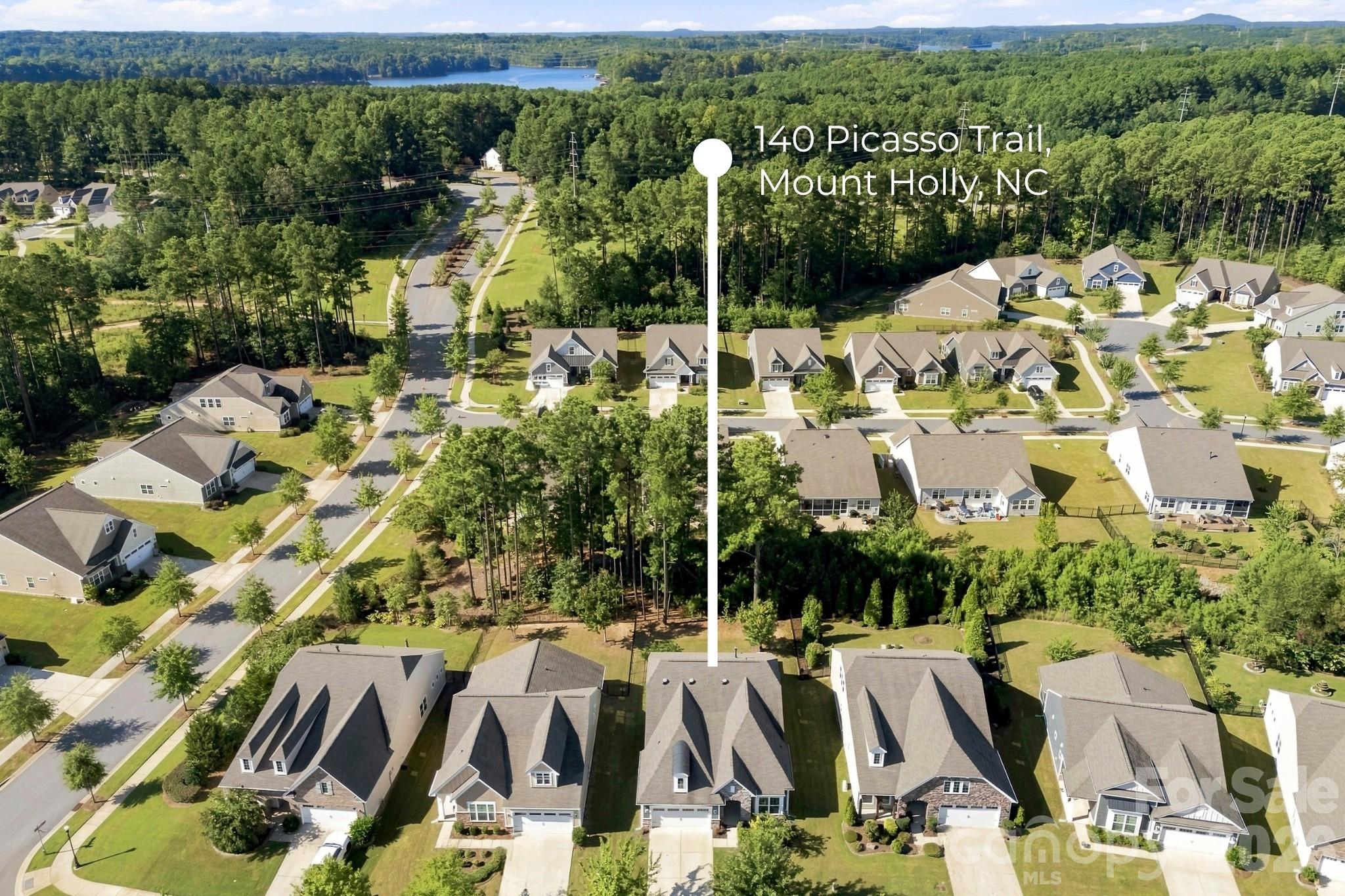 Single Family Residence at 140 Picasso Trail, Mount Holly, photo 3 of 37