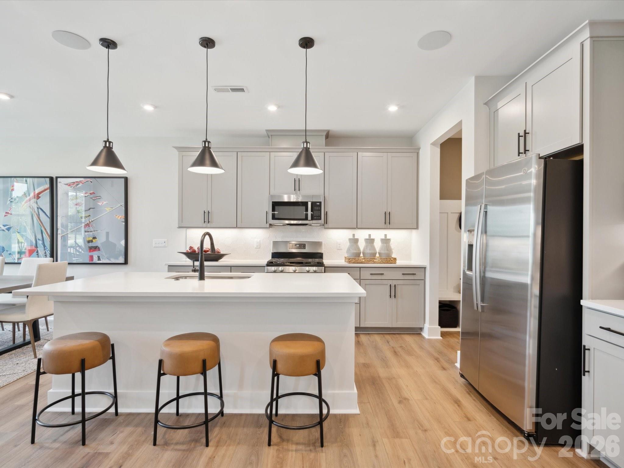 Conceptual - 334 Ardmore Drive, Belmont
