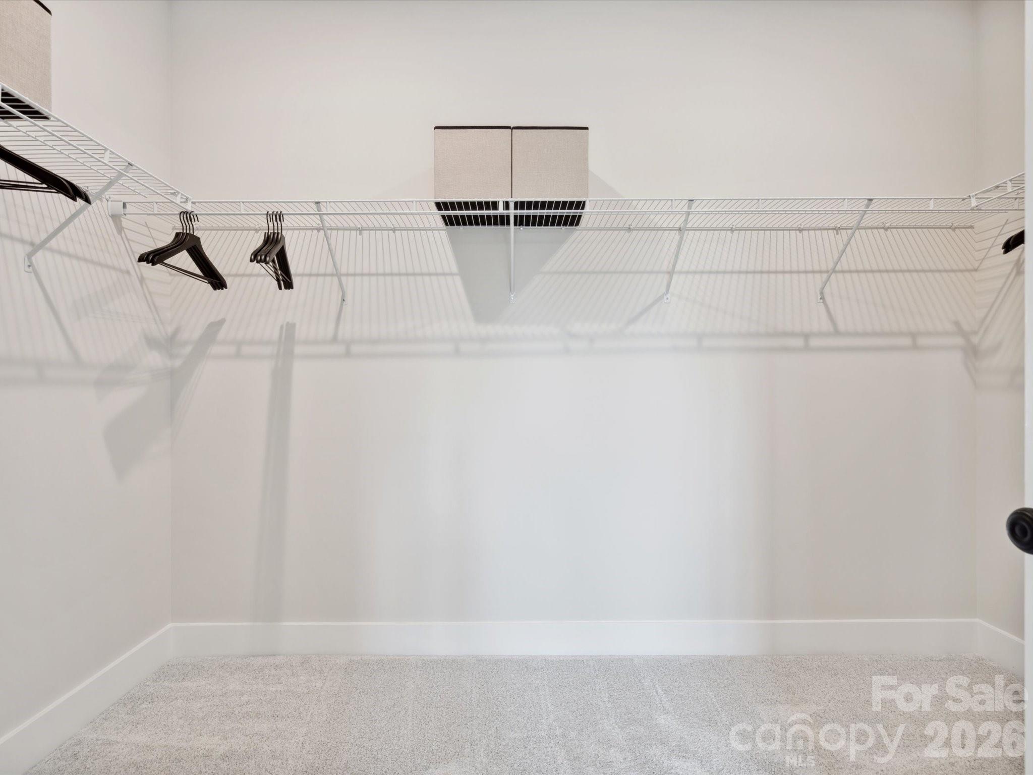 Conceptual - 334 Ardmore Drive, Belmont