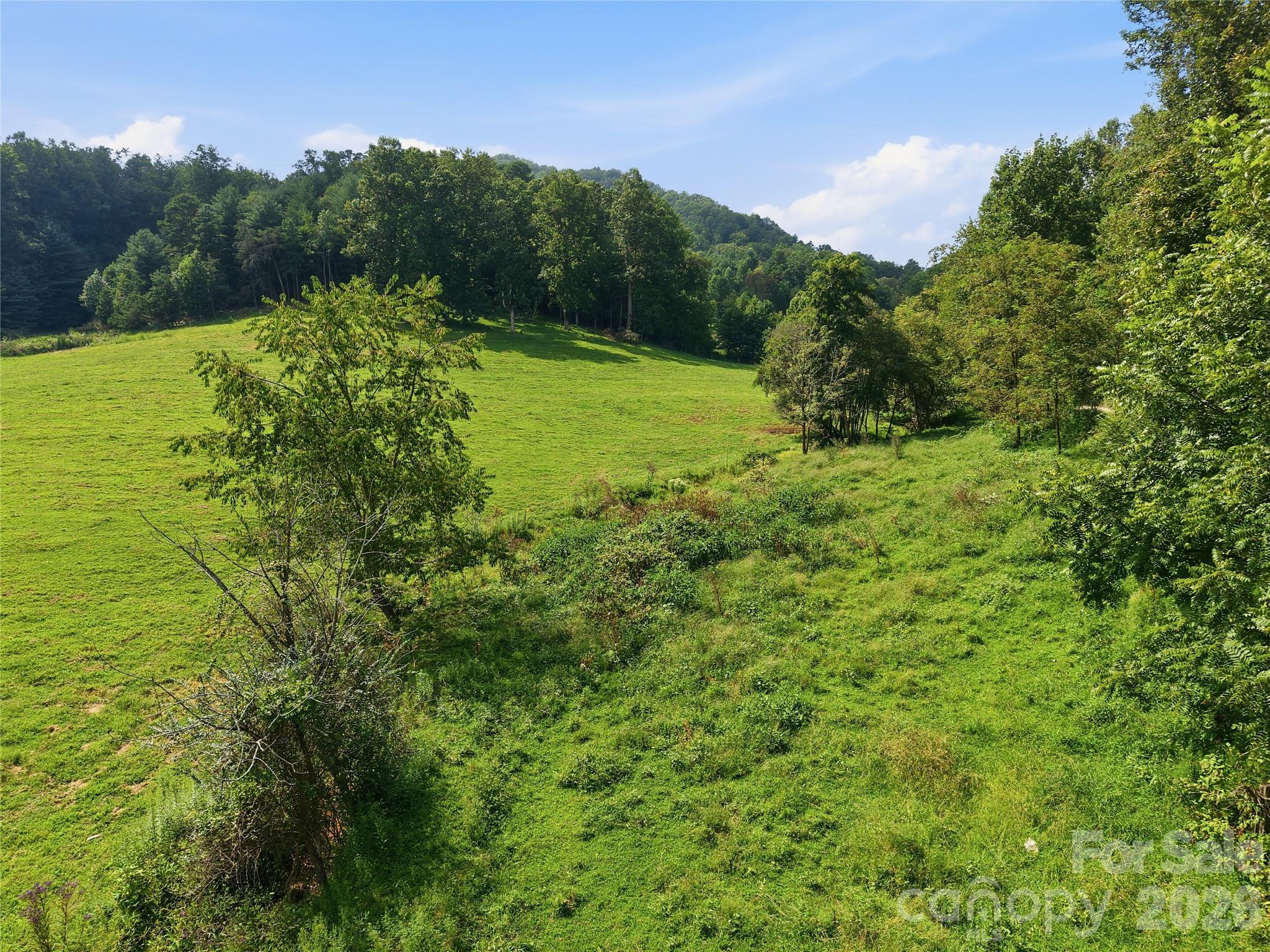 Subdividing is a possibility with this land! - 00000 Whippoorwill Lane, Leicester