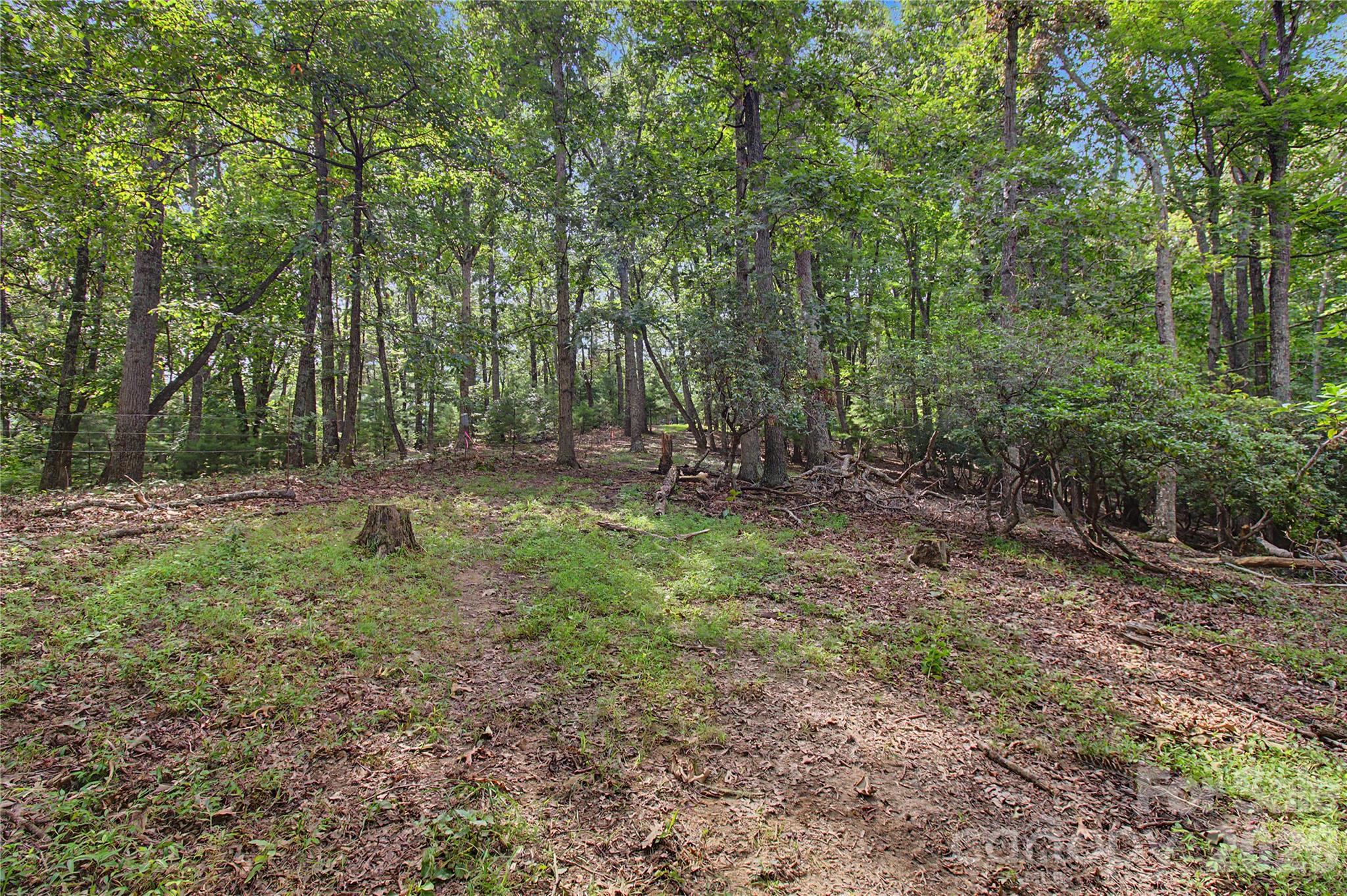 Ridge line location to build your forever home - 00000 Whippoorwill Lane, Leicester