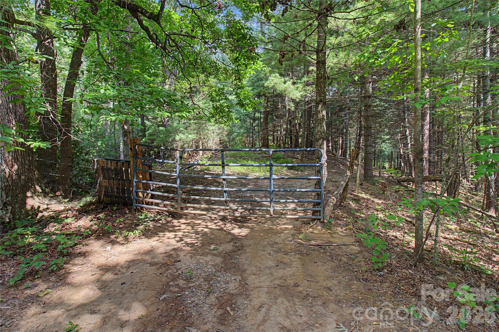 Majority of the property is fenced in and has cattle on it - 00000 Whippoorwill Lane, Leicester
