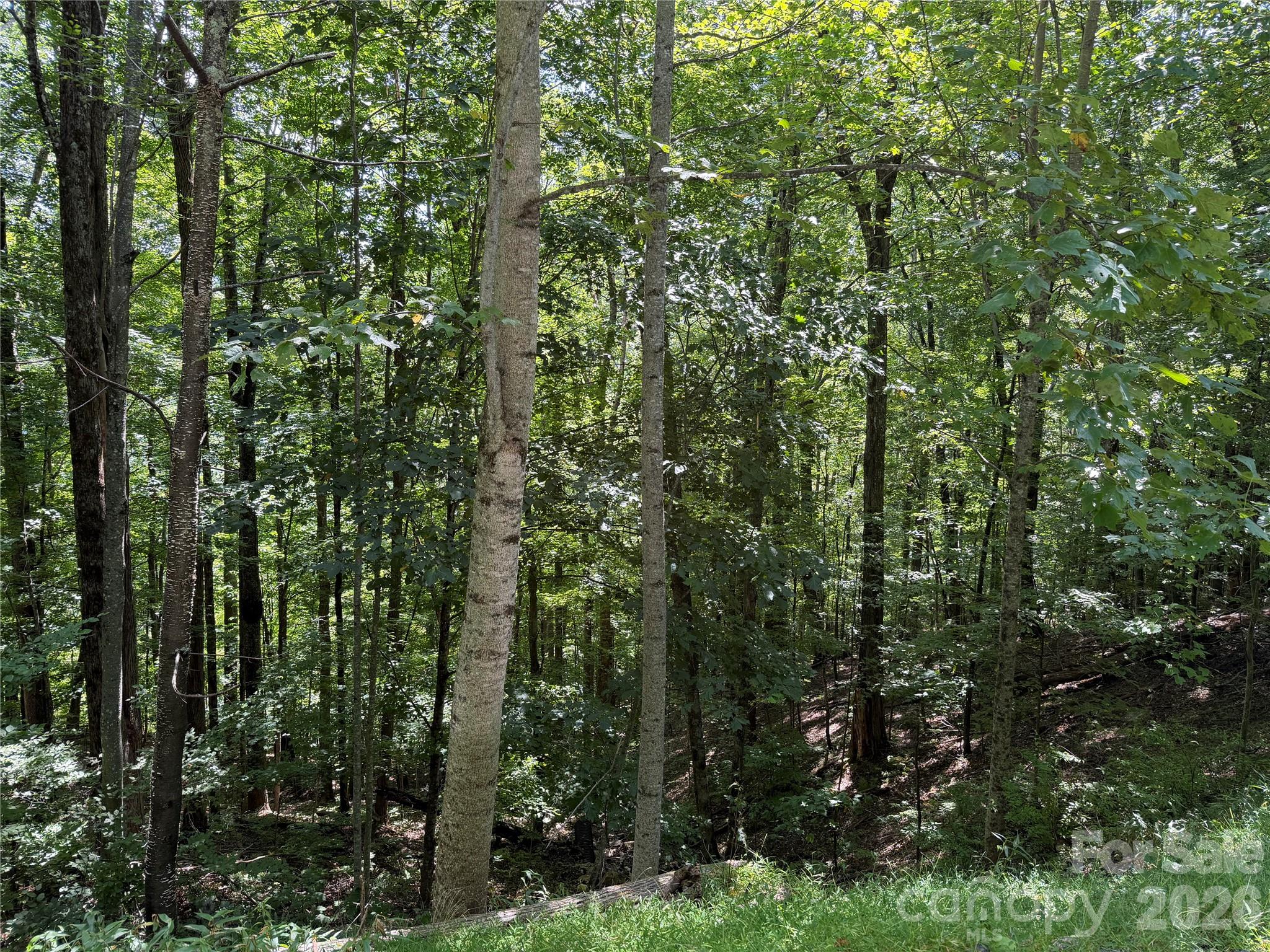 Lot at 00 Chestnut Village Lane, Mars Hill, photo 3 of 20