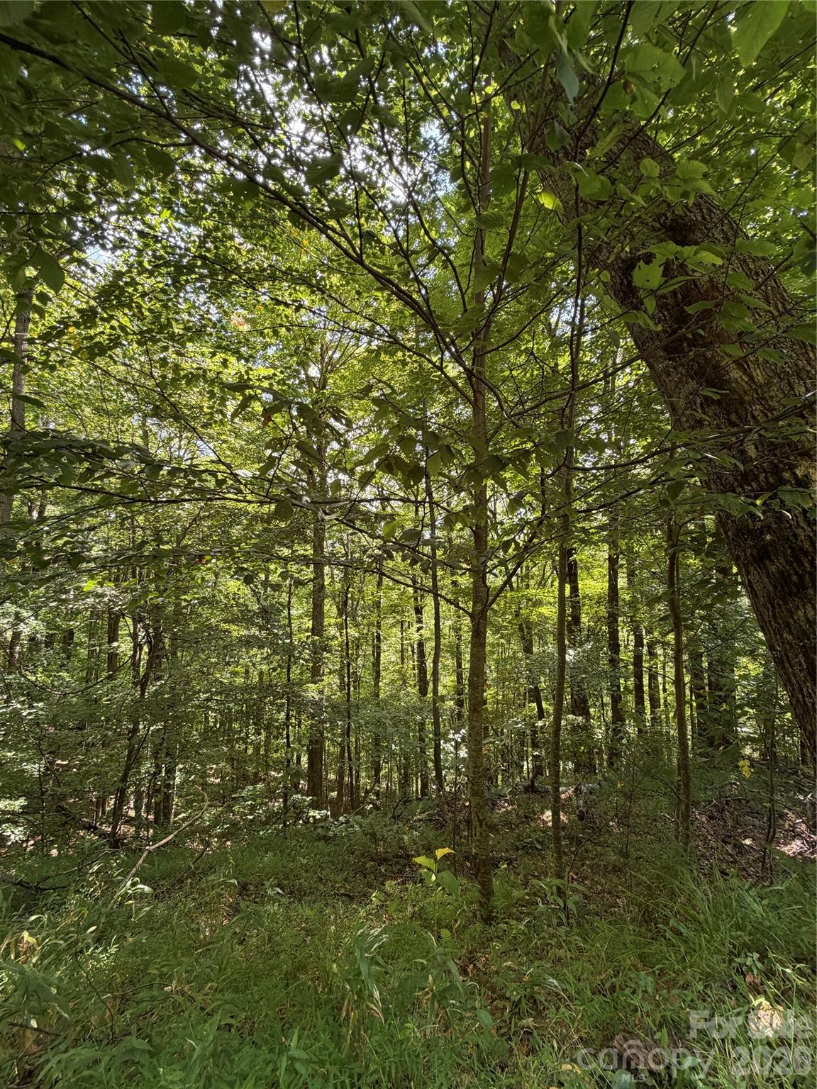 Lot at 00 Chestnut Village Lane, Mars Hill, photo 6 of 20