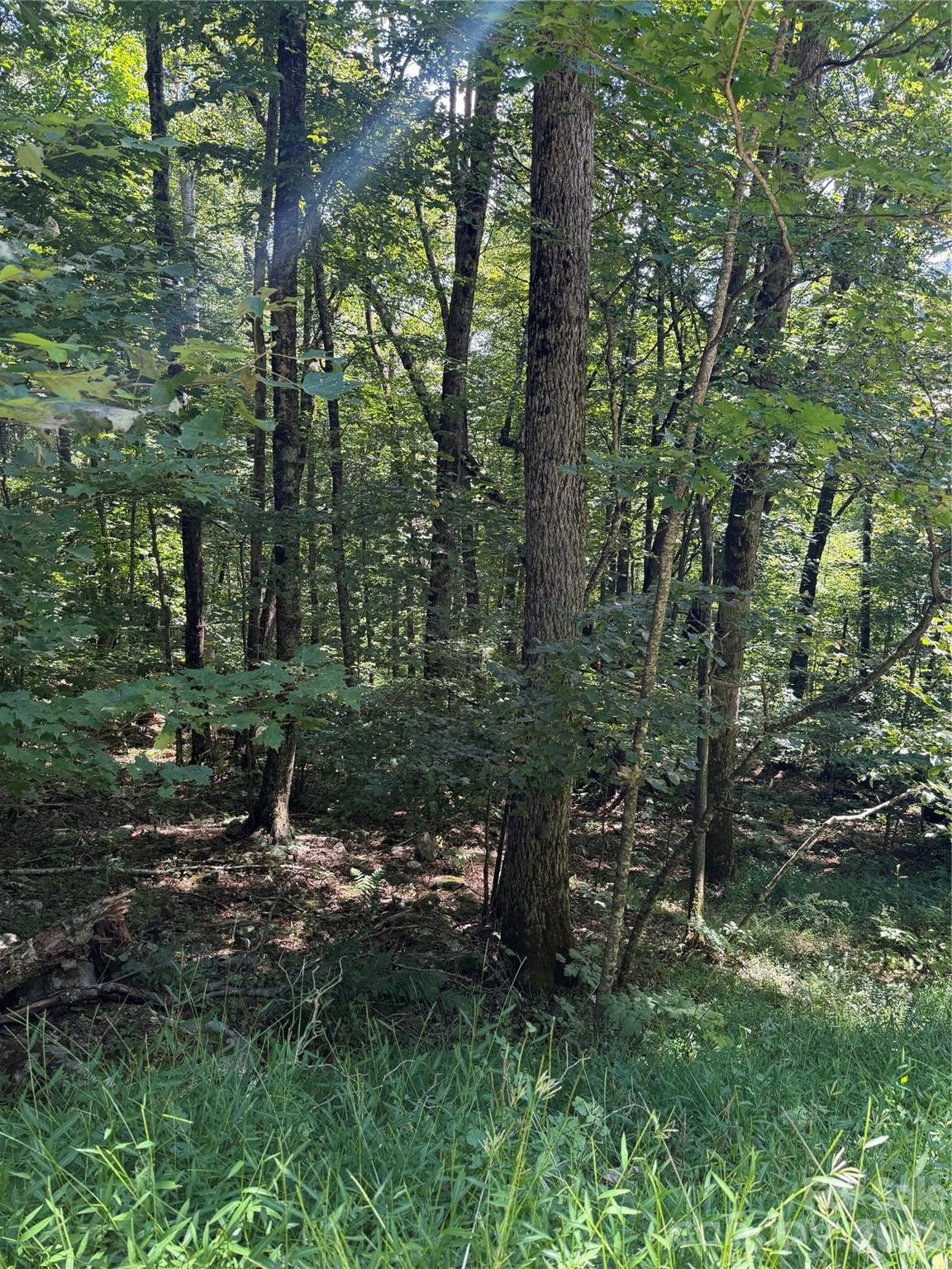 Lot at 00 Chestnut Village Lane, Mars Hill, photo 7 of 20