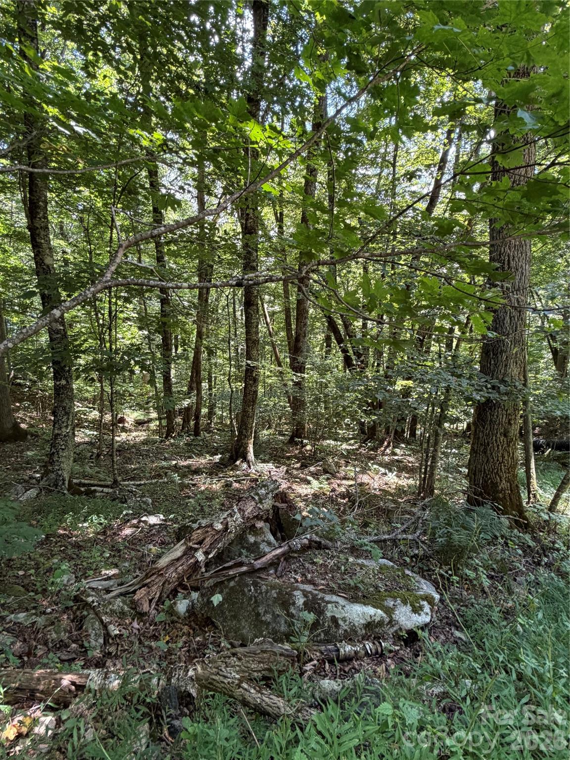 Lot at 00 Chestnut Village Lane, Mars Hill, photo 8 of 20