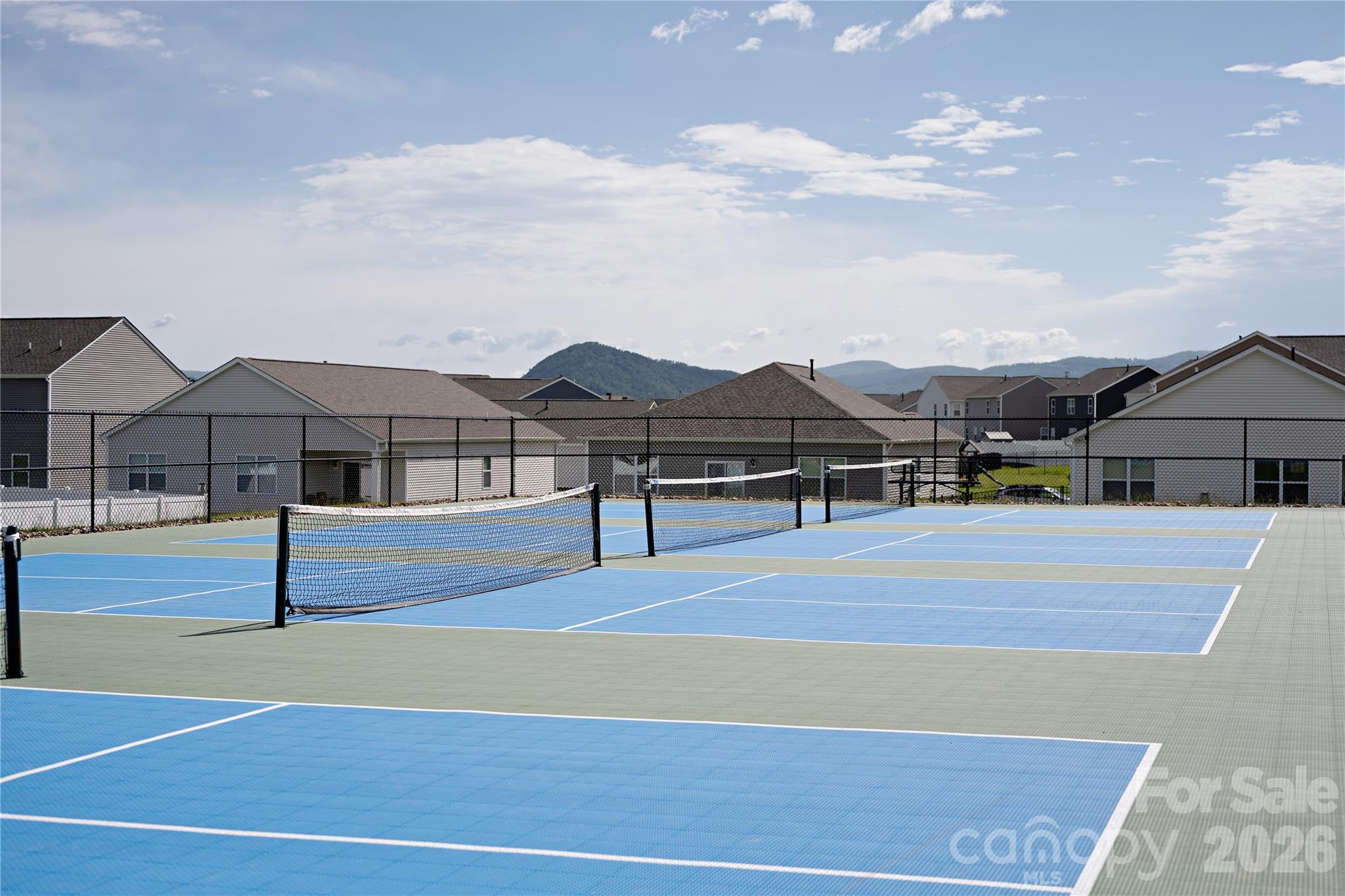 Pickleball courts - 88 Piney Woods Road, Fletcher