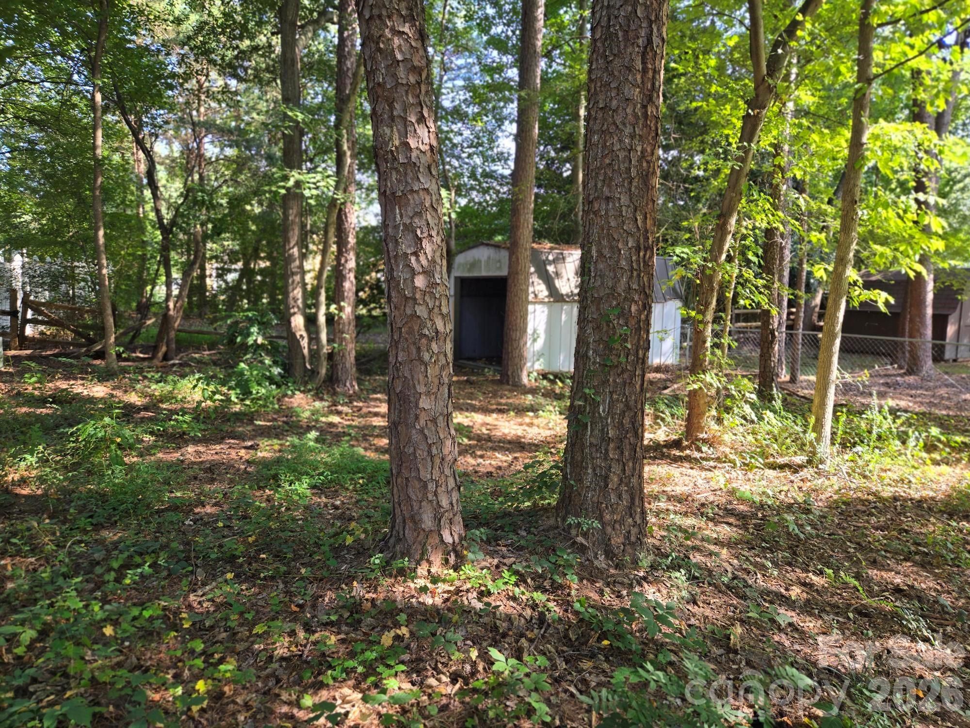 Partial Wooded Rear Yard. - 6214 Elkington Lane, Mint Hill