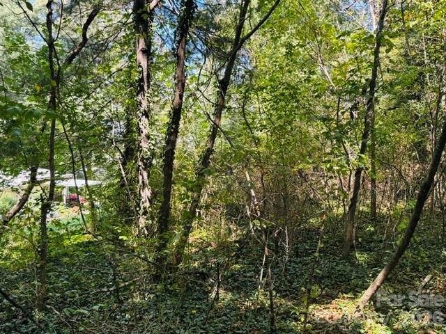 Lot at TBD Hi Alta Avenue, Asheville, photo 5 of 39