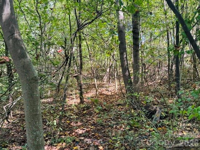 Lot at TBD Hi Alta Avenue, Asheville, photo 3 of 39