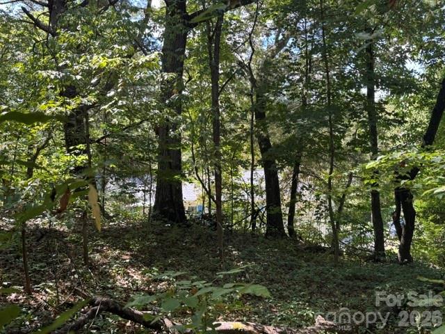 Lot at TBD Hi Alta Avenue, Asheville, photo 6 of 39