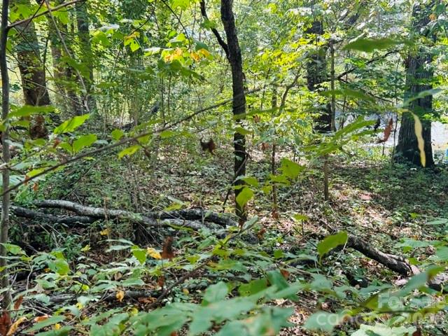 Lot at TBD Hi Alta Avenue, Asheville, photo 10 of 39