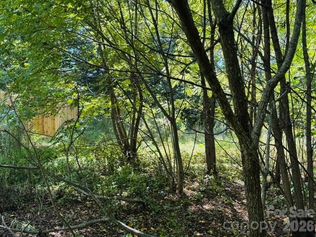 Lot at TBD Hi Alta Avenue, Asheville, photo 23 of 39
