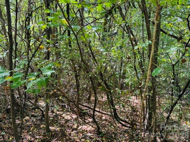 Lot at TBD Hi Alta Avenue, Asheville, photo 24 of 39