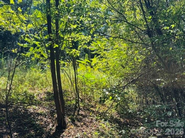 Lot at TBD Hi Alta Avenue, Asheville, photo 26 of 39