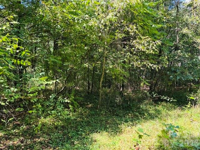 Lot at TBD Hi Alta Avenue, Asheville, photo 32 of 39
