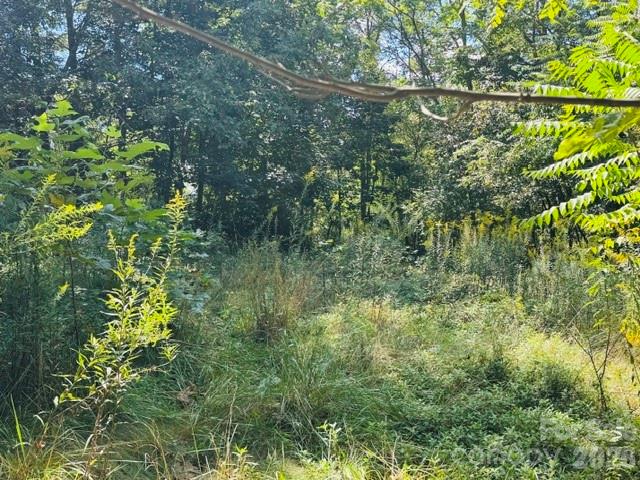 Lot at TBD Hi Alta Avenue, Asheville, photo 33 of 39